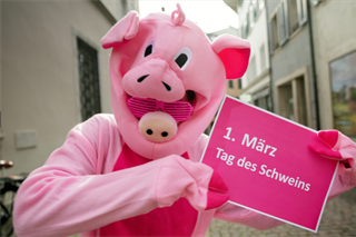 Internationaler Tag des Schweins 1. März