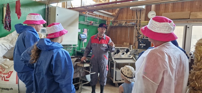 Hygiene gehört im Schweinestall zum Pflichtprogramm