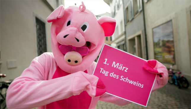 Internationaler Tag des Schweins 1. März